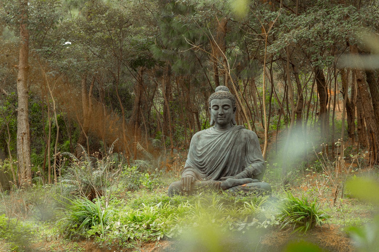 why-choose-us Calm statue of Buddha meditating in a tranquil forest with lush greenery.